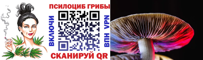 продажа наркотиков  Артёмовск  Галлюциногенные грибы Cubensis 